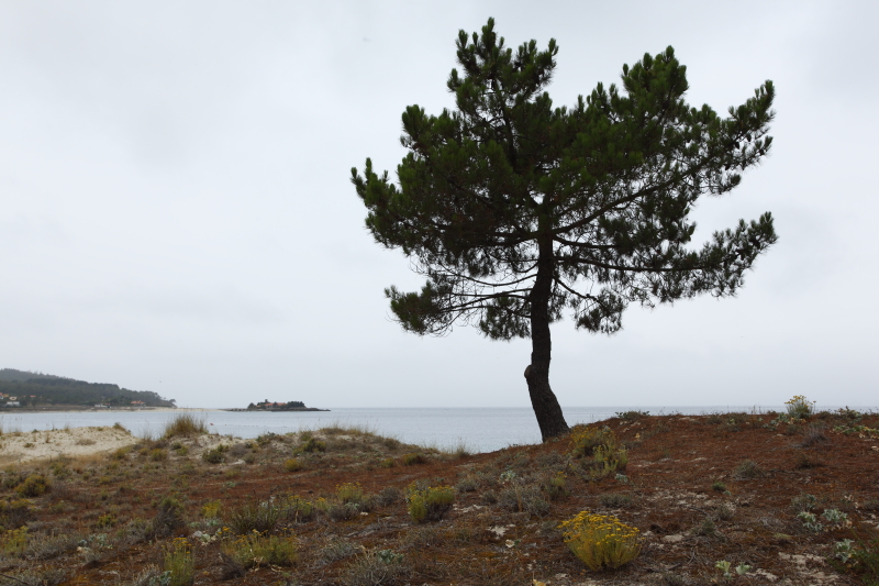 Playa de Aguieira