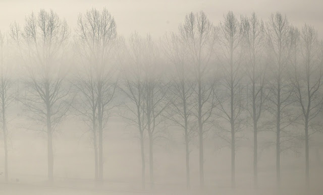 Niebla
