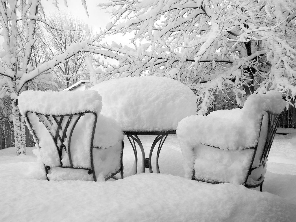 Jardín en inverno
