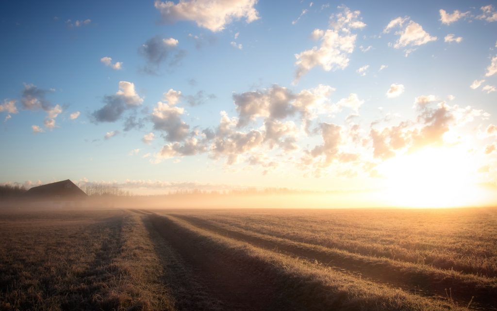 Niebla matinal en el campo.
