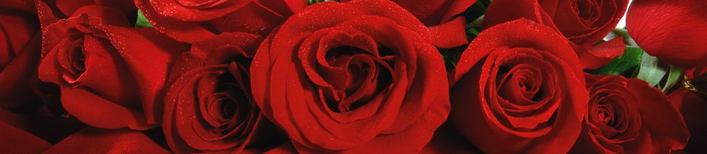 Rosas.