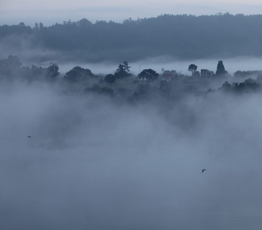 Niebla