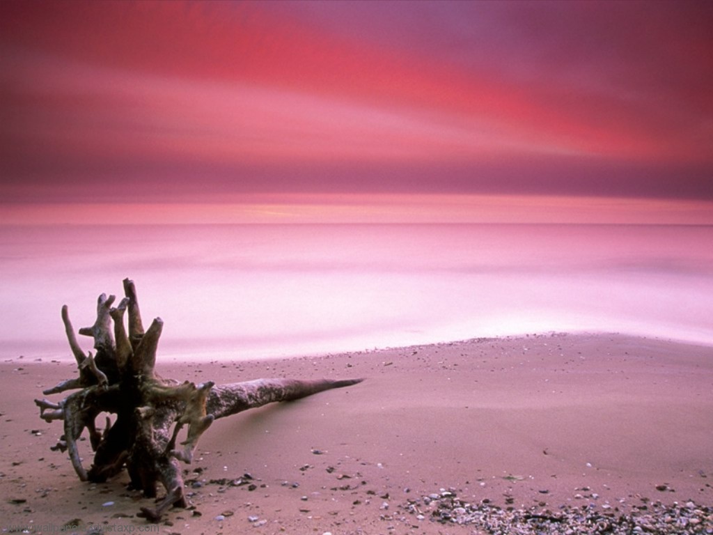 Atardecer de verano.