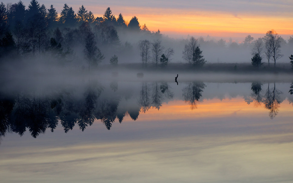 Niebla en el lago