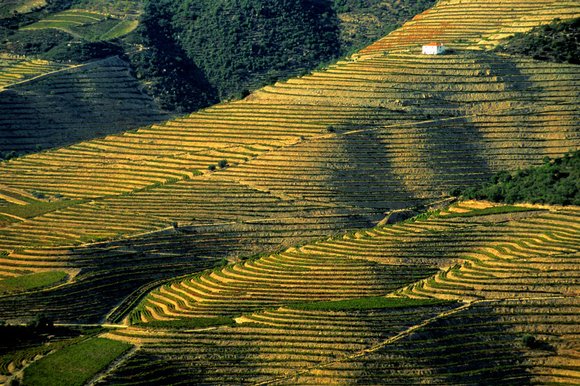Alto Douro