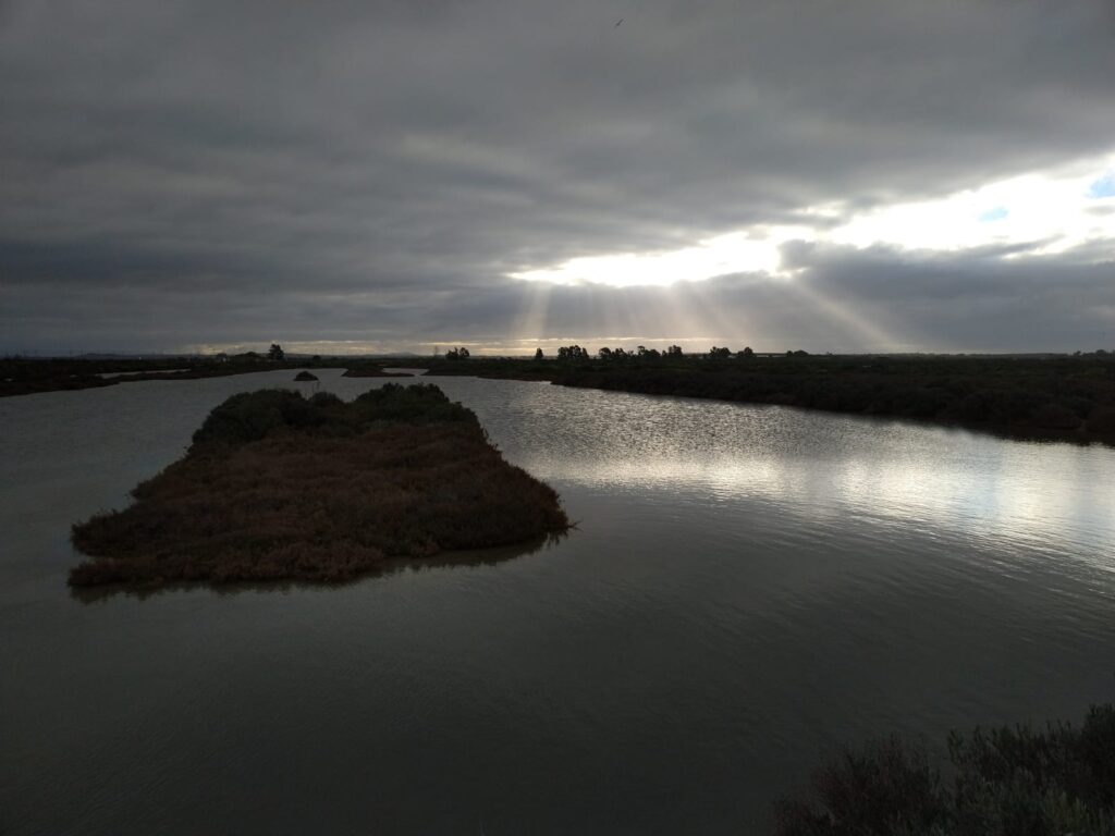 IMG-20190120-WA0014
