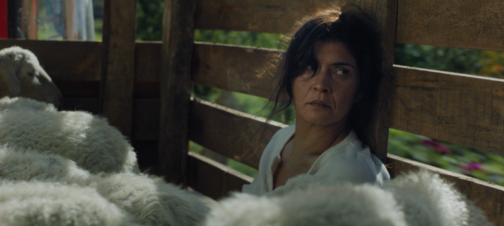 Still_03-1360x611-1