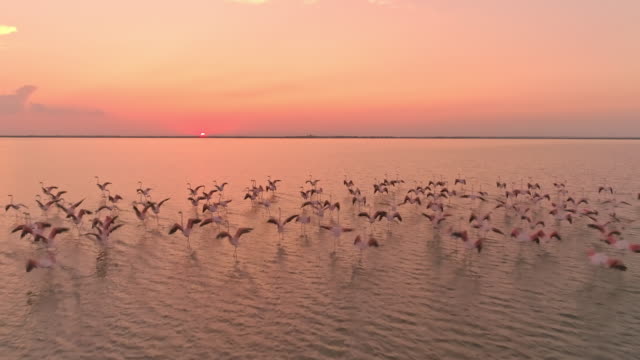 gettyimages-1169443908-640x640-1