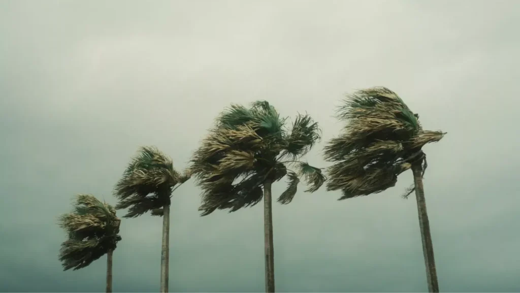 viento-en-canarias-pexels