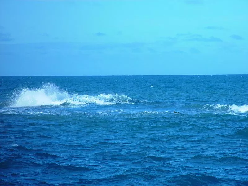 800px-wave_open_sea