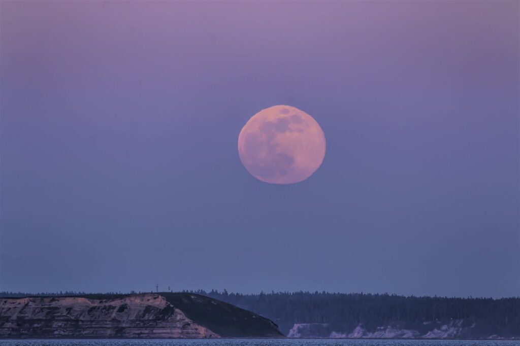 superluna-rosa-en-lo-alto-de-los-cielos-de-la-tierra_bad9f598_1280x853